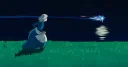 HANG OUT Discord server banner