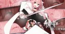 The Pink Palace banner