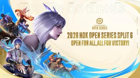 HoK Esports banner