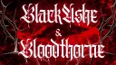 𝗕𝗹𝗮𝗰𝗸𝗔𝘀𝗵𝗲 banner