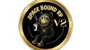 Space Bound RP V2 Banner