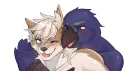 Birb House banner