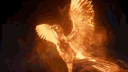 CHAOS Clan | CC banner