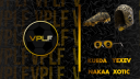 VPLF || S9 Discord server banner