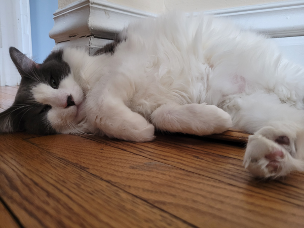 Gary Bot | Discord App Directory