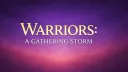 Warriors: A Gathering Storm Discord server banner