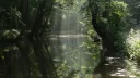 Fairy Pond ♡₊˚ 🦢 Discord server banner