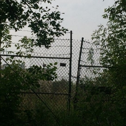 the burial grounds - ,, Discord server banner