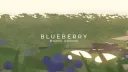 Blueberry banner