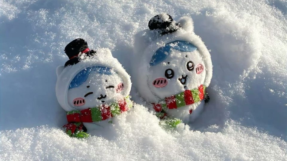 🍁 • Frozen Feeling | vc • tags • gwys • social﹒۶ৎ Discord server banner