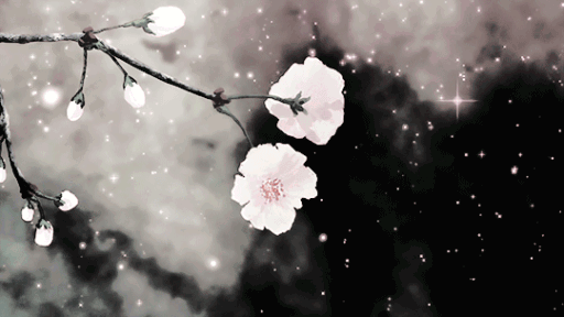 Bless | Chat • Friendly • Chill • Giveaways • Support | Discord server banner