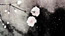 Aozora | Chat • Friendly • Chill • Giveaways • Support | Discord server banner