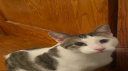 Unfriendly BonWater server banner