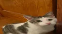 Unfriendly BonWater Discord server banner