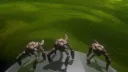 Humble Abode Discord server banner