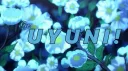Uyuni  🦢 #NEW🇵🇸 banner