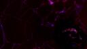 Podziemia Vesparr Banner