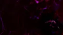 Podziemia Vesparr banner
