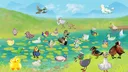 Doodle Duck server banner