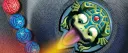 Zuma Community banner