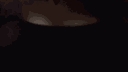 NSFW EMILY 18+ banner