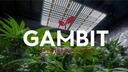 Gambit Growing Banner