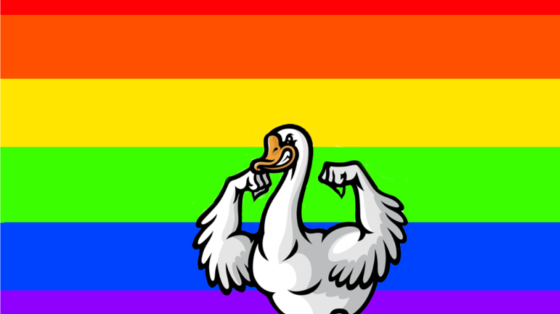 Rainbow Universe 🐼 Discord server banner