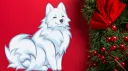 MidnightsPaws House 🐾 banner