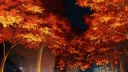 ⌞Serenity⌝ Discord server banner