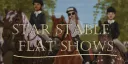 Jorvik Show Circuit banner