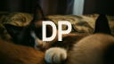 TheDPFamily