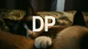 DP banner