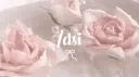 ⋆᠀𓏲˚ dti ribbons server banner