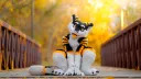 Sox's Silly Discord Server banner