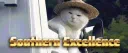 Southern Excellence server banner