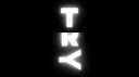 TRY banner
