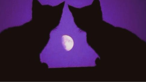 vampiric Discord server banner