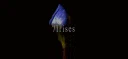 Irises server banner
