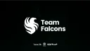 Team Falcons banner