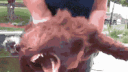 Cosmic Instability banner