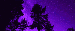 Aurora RP server banner