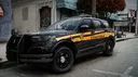 TN | San Andreas State Constables banner