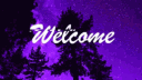 Num Studio banner