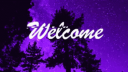Num Studio Banner