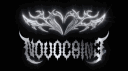 โ๐ง๐จ๐ฏ๐จ๐๐๐ข๐ง๐โ server banner
