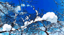 Revora banner