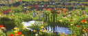 Cocco 18+ | emote・VC・minecraft banner
