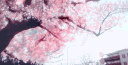 Daily Digital Store | UQH $ERVICE banner