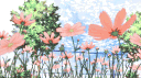 𝘈𝘬𝘢𝘳𝘪 𝘯𝘰 𝘠𝘶𝘮𝘦 banner