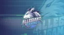 Allegiant Gaming banner